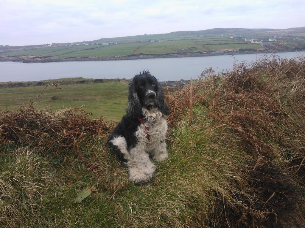 The Ferry Boat Hotel Portmagee Exterior foto